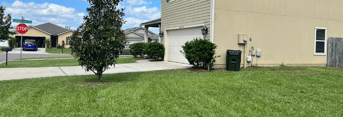 D amp H Jax Service Offers Lawn Maintenance - 0 0